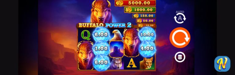 Buffalo Power 2 Hold and Win